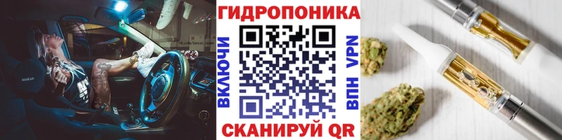 Конопля сатива  Купить  Гаврилов-Ям 
